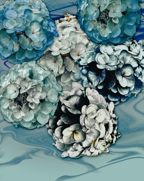 Steel Hydrangeas | Photography by Joanie Landau