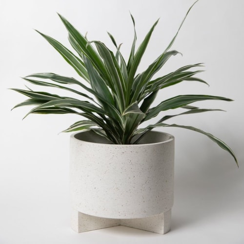 Large Planter w/ Base | Vases & Vessels by Pretti.Cool