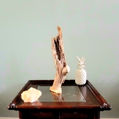 Driftwood Sculpture "Take A Knee" | Sculptures by Sculptured By Nature  By John Walker