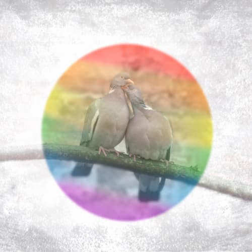 Love is for all! | Photography by Louise O'Gorman
