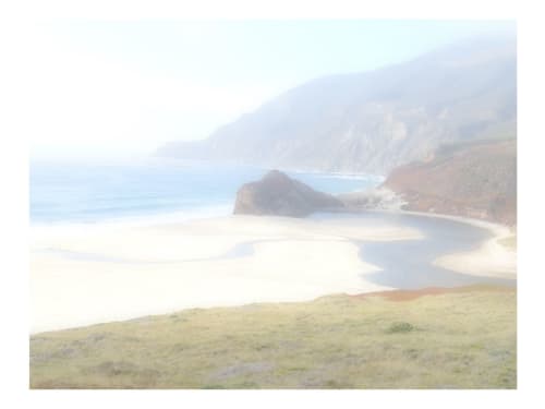 We hide In blueberries | Photography by She Hit Pause