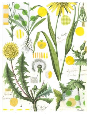 Yellow Dandelion Tea Towel | Linens & Bedding by Pam (Pamela) Smilow