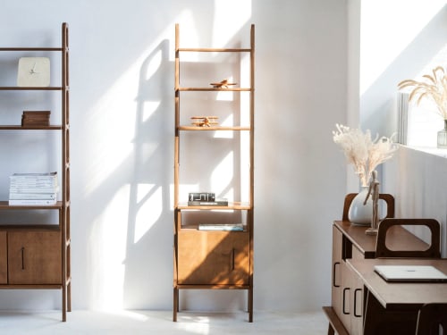 Wooden walnut bookcase with cabinet, Bookcase ladder | Storage by Plywood Project