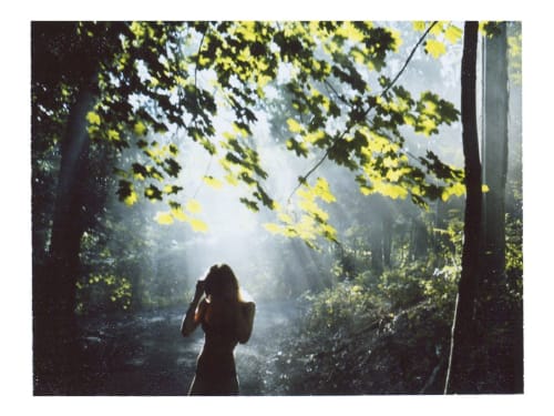 In A Light I Never Knew | Photography by She Hit Pause