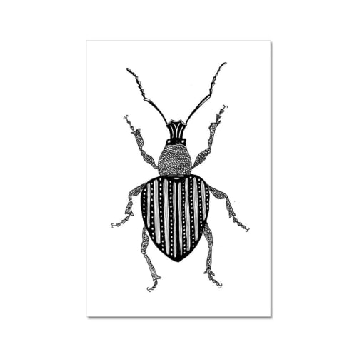 Beetle no. 3 Giclée Print | Prints by Odd Duck Press