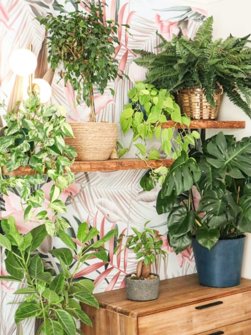 Live Edge Solid Wood Floating Shelf | Eco-Friendly Urban Woo | Ledge in Storage by Alabama Sawyer