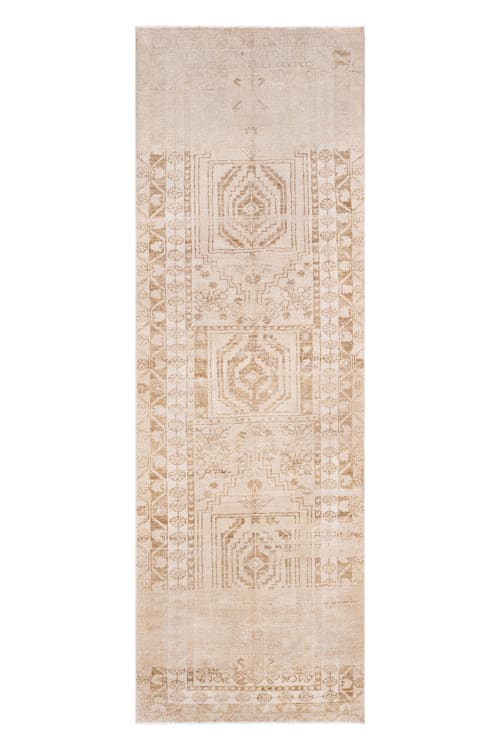 Froid | 2'9 x 8'7 | Rugs by District Loom