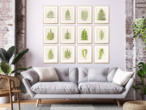 Fern Print Set, Fern Prints set of 12, set of 12 fern prints | Paintings by Capricorn Press