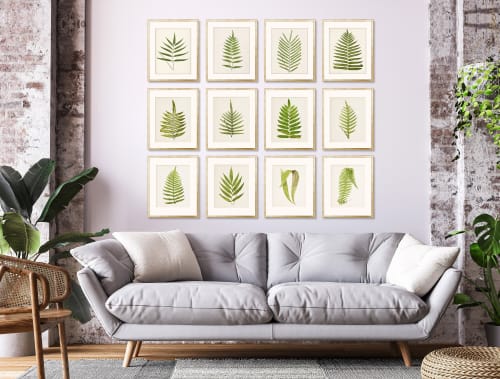 Fern Print Set, Fern Prints set of 12, set of 12 fern prints | Prints by Capricorn Press