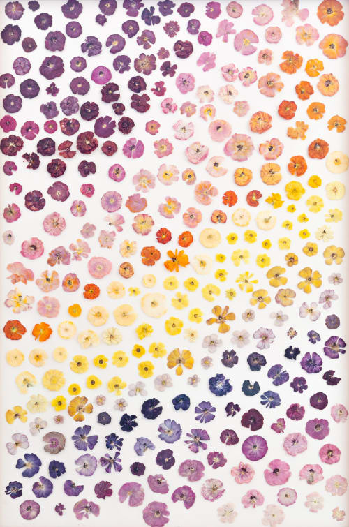 Print - Flower fields Part 1 | Art & Wall Decor by Sarah Ebert Art