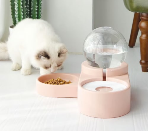 Water Dispenser + Pet Bowl | Dinnerware by Vanilla Bean