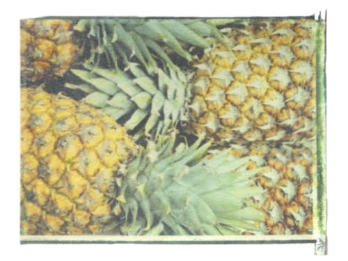 I Watched You Grow Beautiful | Photography by She Hit Pause