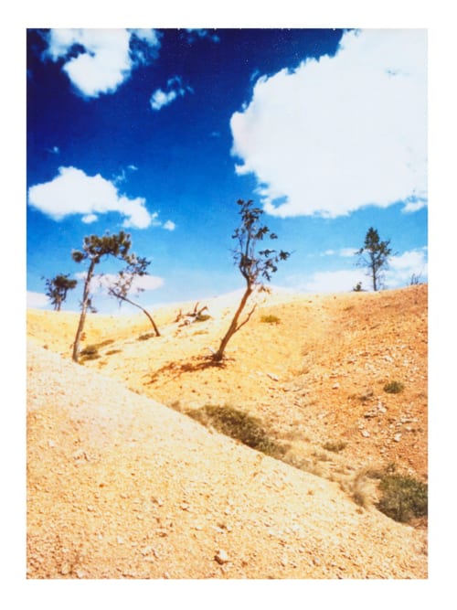 Tumbling into blue | Photography by She Hit Pause