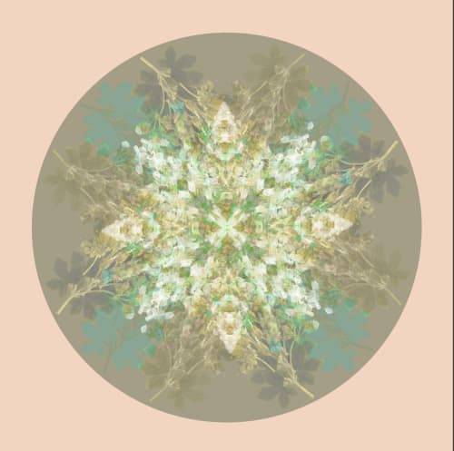 Botanical mandala #4 | Photography by Louise O'Gorman