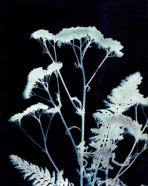 Yarrow One | Paintings by Kathy Ferguson Art