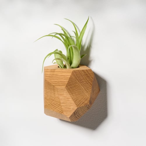 GEORGIA White Oak Air Plant Holder | Vases & Vessels by Untitled_Co
