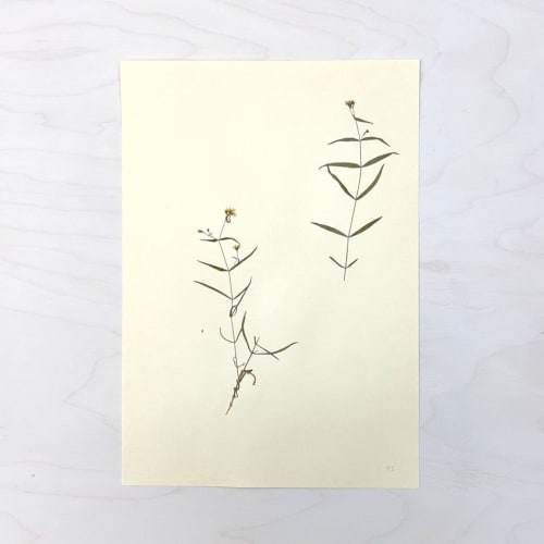 Vintage Pressed Botanical #40 | Pressing in Art & Wall Decor by Farmhaus + Co.
