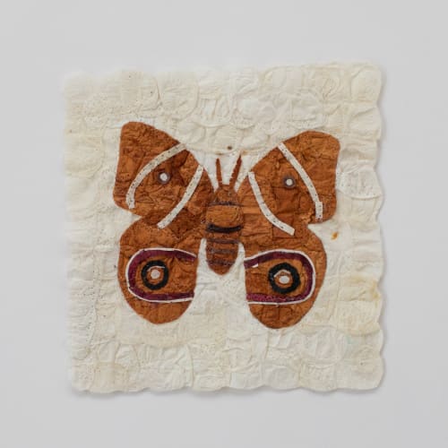 Mini Moth - Antherina suraka | Mixed Media by Tanana Madagascar