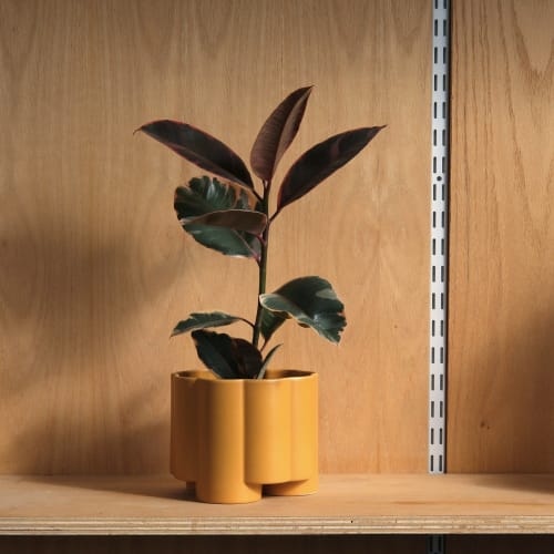Pillar Planter | Vases & Vessels by Misewell