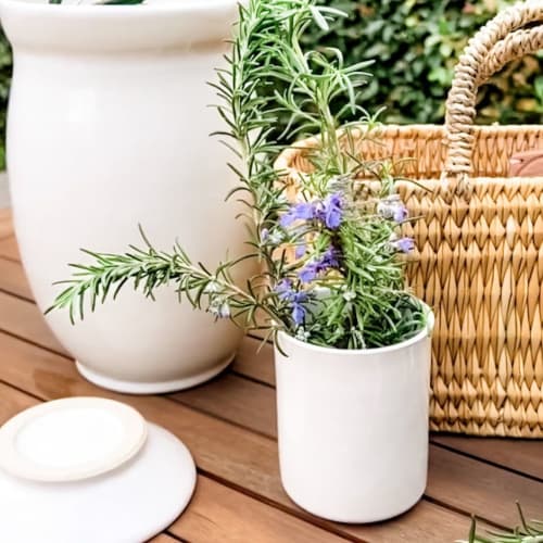 Daily Ritual Vase - Piedra Blanca Collection | Vases & Vessels by Ritual Ceramics Studio