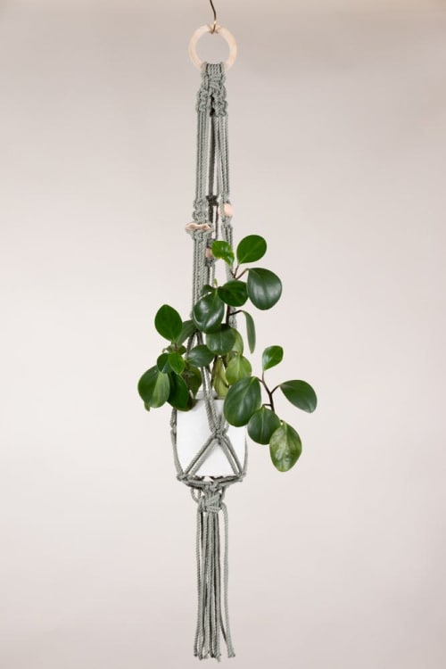 Sage Plant Hanger | Plants & Landscape by Modern Macramé by Emily Katz