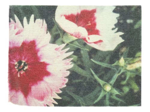 Holding onto color | Photography by She Hit Pause