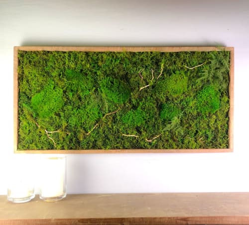 Plant Wall Art Moss and Fern Sculpture, Long Horizontal | Plants & Landscape by Sarah Montgomery