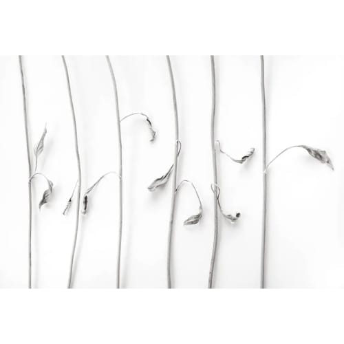 L. Blackwood - Dancing Sunflower Stems | Wall Hangings by Farmhaus + Co.