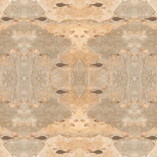 Under The Sea Fossils | Wallpaper in Wall Treatments by Wallcovetings by Brenda Houston