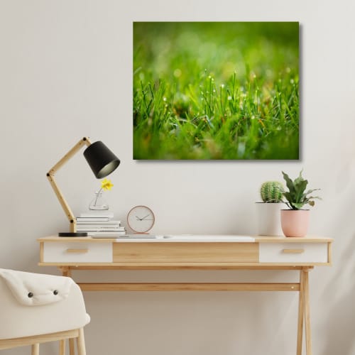 Photograph • Grass, Raindrops, Macro Photography | Photography by Honeycomb