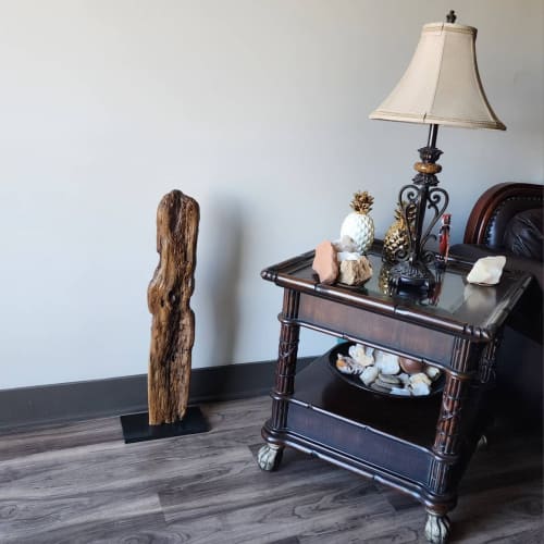 Driftwood Art Sculpture "The Lepidote" | Sculptures by Sculptured By Nature  By John Walker