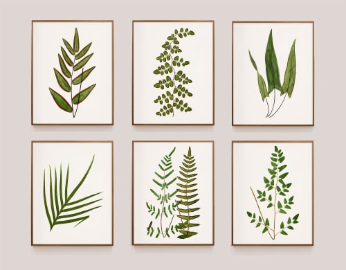 Fern Print Set, Fern Prints set of 6 or 8 fern prints | Prints by Capricorn Press