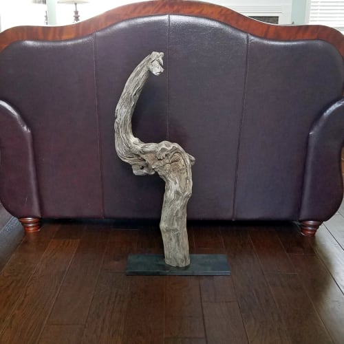 Driftwood Sculpture "Triumphant" | Sculptures by Sculptured By Nature  By John Walker