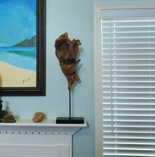 Driftwood Sculpture "No Drama" on Steel Stand | Sculptures by Sculptured By Nature  By John Walker