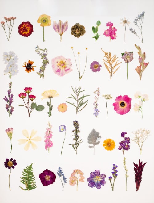 Print - The Sampler | Prints by Sarah Ebert Art