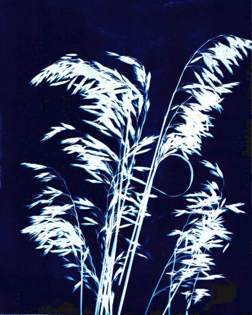 Ornamental Grass Seven | Paintings by Kathy Ferguson Art