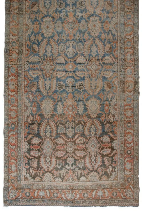 Fania | 3'5 x 16'11 | Area Rug in Rugs by Minimal Chaos Vintage Rugs