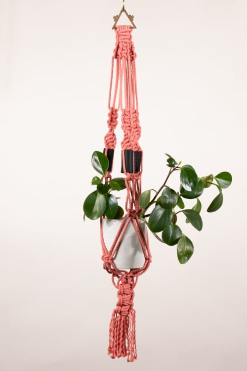 Coral Plant Hanger | Wall Hangings by Modern Macramé by Emily Katz