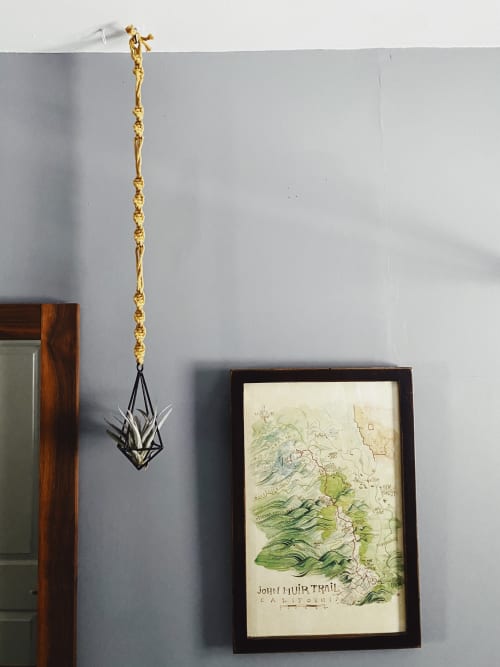 The Hayden Air Plant Holder | Plant Hanger in Plants & Landscape by Likewoah Handmade (Sam)