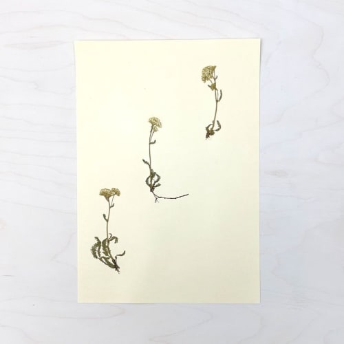Vintage Pressed Botanical #32 | Art & Wall Decor by Farmhaus + Co.