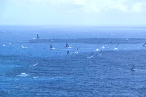 Caribbean 600 | Photography by Neon Dunes by Lily Keller