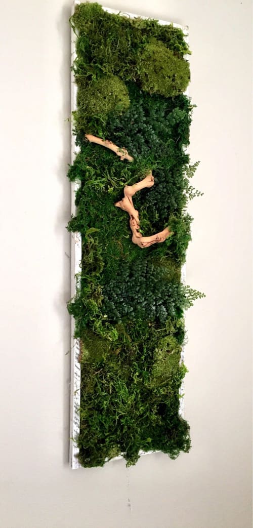 Plant Wall Art Moss and Fern Sculpture, Dimensional Painting | Plants & Landscape by Sarah Montgomery