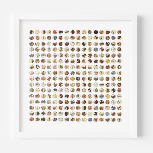 Two Hundred and Fifty Six Butterfly Dots Collage | Paintings by Amelia Coward