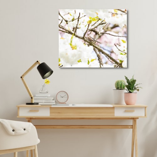 Photograph • Cherry Blossoms, PNW, Oregon, Bird Photography | Photography by Honeycomb