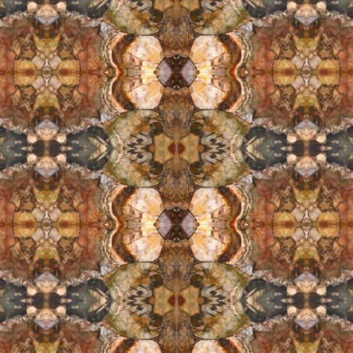 Woodlands | Wallpaper in Wall Treatments by Wallcovetings by Brenda Houston