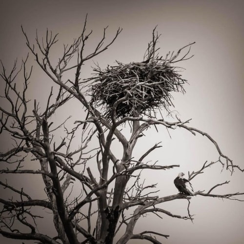 L. Blackwood - Eagle's Nest | Photography by Farmhaus + Co.