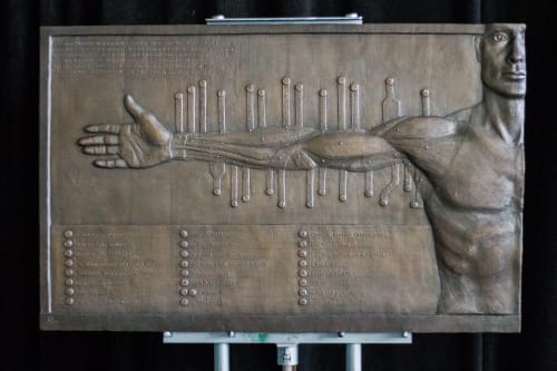 Anatomical Arm Relief Sculpture- Bronze edition 3/25 | Wall Sculpture in Wall Hangings by dellsculpture