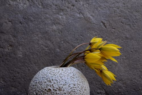 Round Moon vase- sea urchin | Vases & Vessels by Laima Ceramics