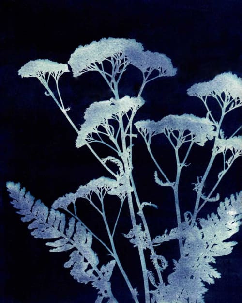 Yarrow Two | Paintings by Kathy Ferguson Art