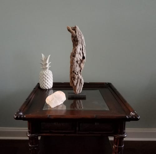 Driftwood Sculpture "Cultured" | Sculptures by Sculptured By Nature  By John Walker